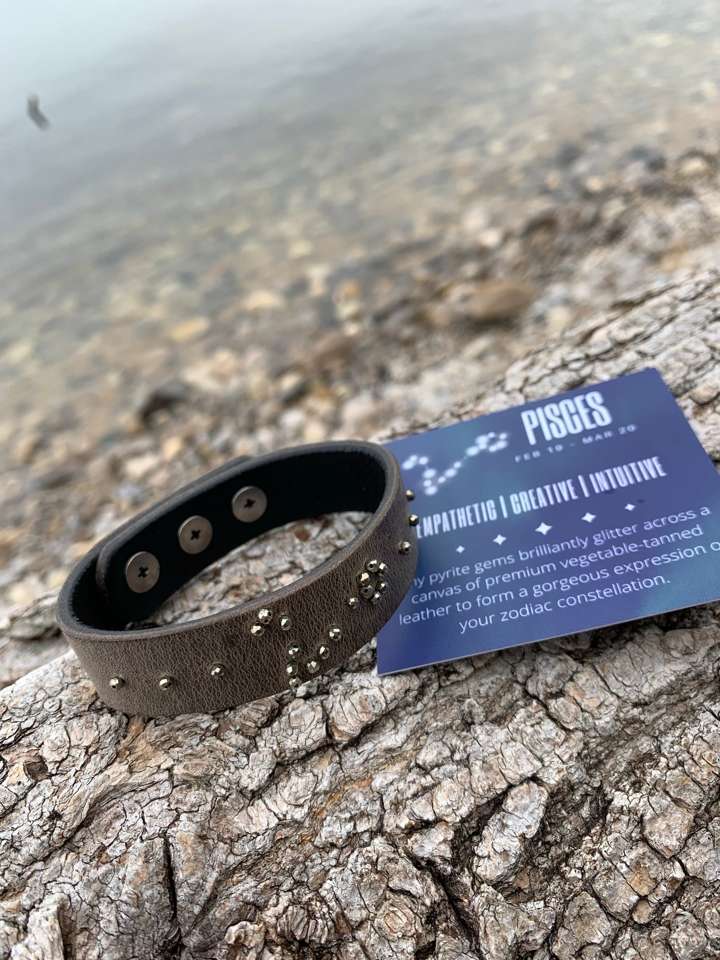 Pisces (Feb 19 - Mar 20) Zodiac Constellation bracelet
